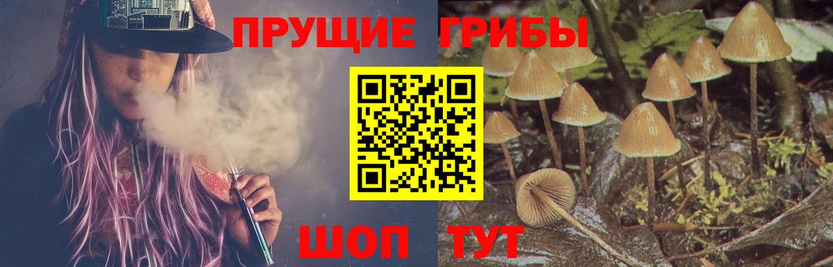 Междуреченск  Галлюциногенные грибы мицелий  Вход с VPN 